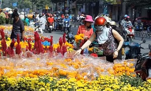 Thành phố Hồ Chí Minh