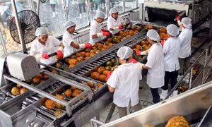 Nâng cao chất lượng chuỗi giá trị trong ngành thực phẩm Việt Nam