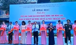 TP Hồ Chí Minh