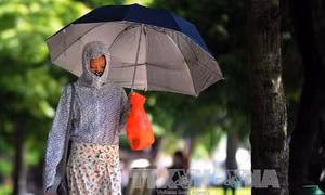 Nắng nóng lại "tung hoành" 