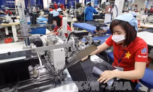 Lấy ý kiến về Nghị định quy định mức lương tối thiểu vùng 2018