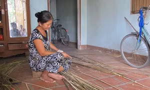 TP Hồ Chí Minh