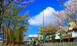 Thành phố Hồ Chí Minh