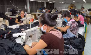Chính sách bảo hộ thương mại tác động đến kim ngạch xuất khẩu của Đồng Nai