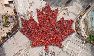 Người Canada xếp lá phong khổng lồ nhân 150 năm Quốc khánh