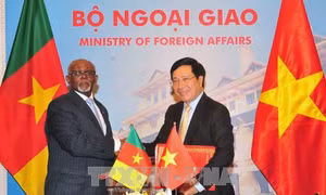 Tăng cường quan hệ song phương Việt Nam - Cameroon ​
