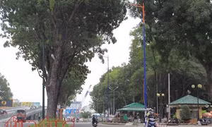 Thành phố Hồ Chí Minh