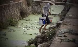 Giữa Thủ đô, rùng mình tưới rau sạch bằng nước thải độc hại