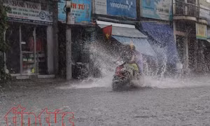 Thành phố Hồ Chí Minh