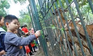 Các điểm vui chơi Thủ đô đông du khách nhí