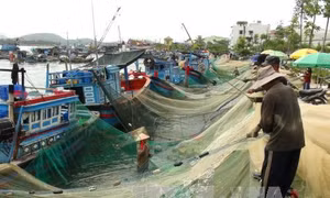 Nhiều nghề khai thác biển đạt hiệu quả cao