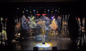 NSƯT Thanh Thanh Hiền hát tình ca trong đêm nhạc Lam Phương 2
