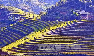 Đến với thiên đường ruộng bậc thang Mù Cang Chải 