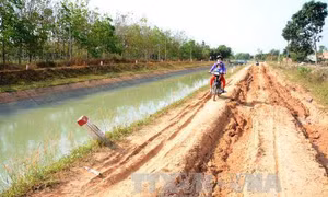 Đã tìm thấy thi thể ba nạn nhân bị đuối nước ở Tây Ninh 