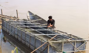 Độc đáo nuôi cá bằng lồng bè inox