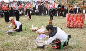 Độc đáo Lễ hội Hết Chá của đồng bào dân tộc Thái ở Mộc Châu