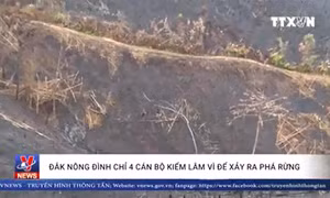 Đắk Nông đình chỉ 4 cán bộ kiểm lâm vì để xảy ra phá rừng