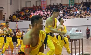 Khai mạc Hội diễn võ thuật cổ truyền Hà Nội mở rộng lần thứ 33