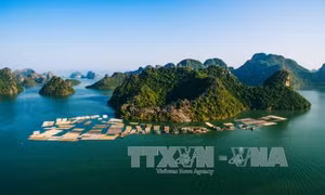 Hải Phòng khởi công dự án quần thể du lịch sinh thái Cát Bà