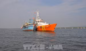 Cứu thành công 3 ngư dân bị nạn trên biển 