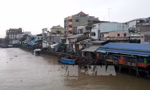 Vĩnh Long: 24 hộ dân sinh sống trong khu vực sạt lở nguy hiểm 