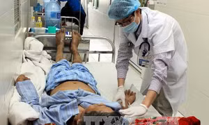 Tử vong vì ăn tiết canh mùa dịch cúm gia cầm