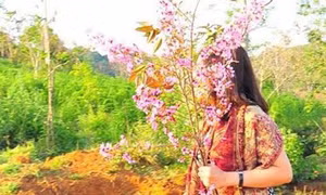 Cán bộ đừng làm gương xấu