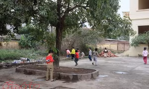 Trường chuẩn quốc gia, học sinh đi vệ sinh ở… đống rác