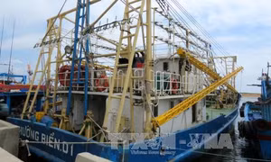 Bình Định thành lập Tổ công tác thẩm định chất lượng tàu vỏ thép 