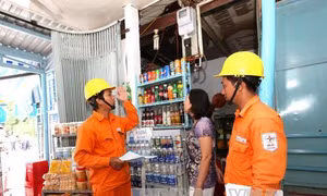 Điện lực miền Nam triển khai nhiều dịch vụ mới