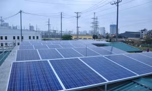 15 hộ dân ở vùng 'cô lập' của đảo Trần (Cô Tô) đã được sử dụng điện