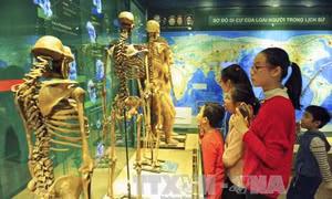Bảo tàng tại Hà Nội cần thay đổi để hút khách
