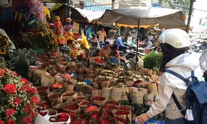 Thành phố Hồ Chí Minh