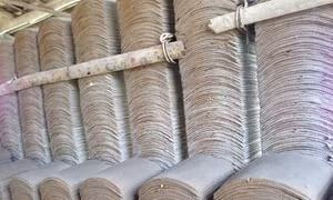 Rêu phong hồn ngói