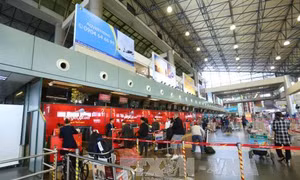 Gây rối ở sân bay Nội Bài, nữ hành khách bị phạt 4 triệu đồng 