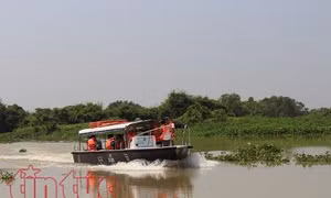 TP Hồ Chí Minh