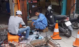 TP Hồ Chí Minh