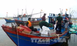 Xử lý nghiêm hành vi tàng trữ, sử dụng thuốc nổ để đánh bắt hải sản 