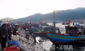 Xuất khẩu tôm mở ra nhiều cơ hội cho ngư dân Hà Tĩnh 