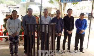 Xét xử băng nhóm trộm chó chuyên nghiệp tại Tây Ninh