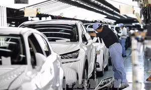 Toyota lên kế hoạch sản xuất xe bán tải và SUV tại Mexico bất chấp đe dọa của Mỹ