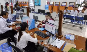 800 dịch vụ công trực tuyến mức độ 3 và 4 tại Đà Nẵng năm 2020