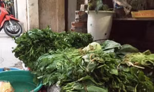 Đắt gấp 2-3 lần nhưng khó phân biệt rau hữu cơ và rau thường