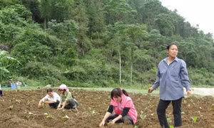 Phát triển đảng viên nữ người dân tộc thiểu số 