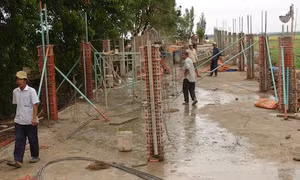 TP Hồ Chí Minh