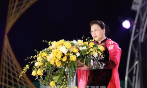 Khai mạc Festival 'Hoa Đà Lạt - Kết tinh kỳ diệu từ đất lành'