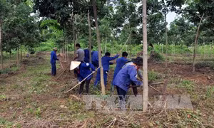 Chậm giao đất, giao rừng cho đồng bào dân tộc ở Tây Nguyên 
