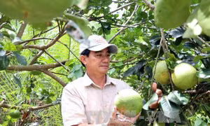 Họp báo công bố danh sách 87 nông dân xuất sắc và gương mặt 30 năm đổi mới 