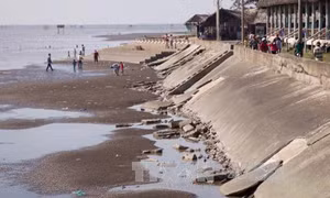 Đánh thức tiềm năng khu du lịch sinh thái biển Tân Thành 