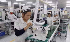 ‘Tháng ngâu’ doanh nghiệp ngại đăng ký thành lập mới